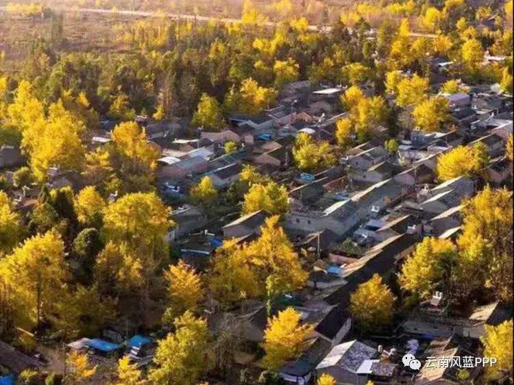 澳大利亚投资移民骗子{澳大利亚教育体系全面介绍，移民家庭一定要看！}