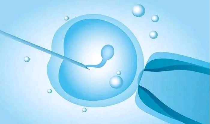 武汉最大的助孕公司,武汉供卵试管助孕机构介绍