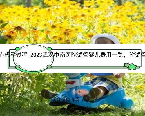 武汉代孕生殖中心代孕过程|2023武汉中南医院试管婴儿费用一览，附试管生男孩