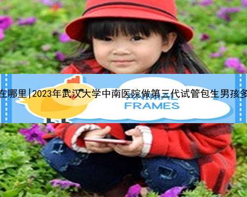 武汉代生在哪里|2023年武汉大学中南医院做第三代试管包生男孩多少费用？