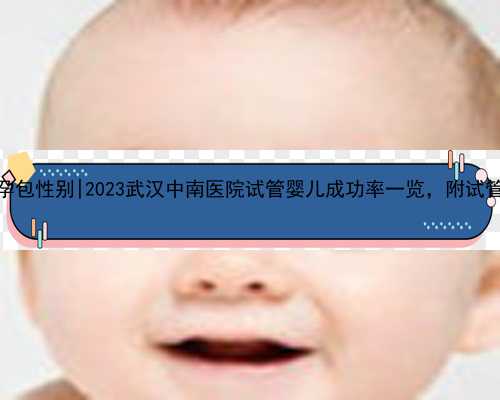 武汉代怀孕包性别|2023武汉中南医院试管婴儿成功率一览，附试管医生推荐