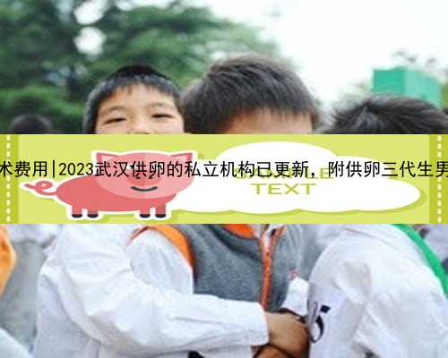 武汉代怀手术费用|2023武汉供卵的私立机构已更新，附供卵三代生男孩条件分析
